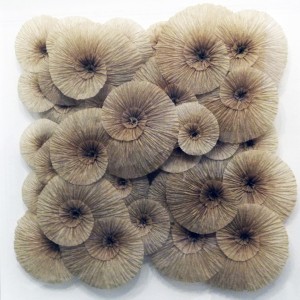 Ammonites papier de soie plissé